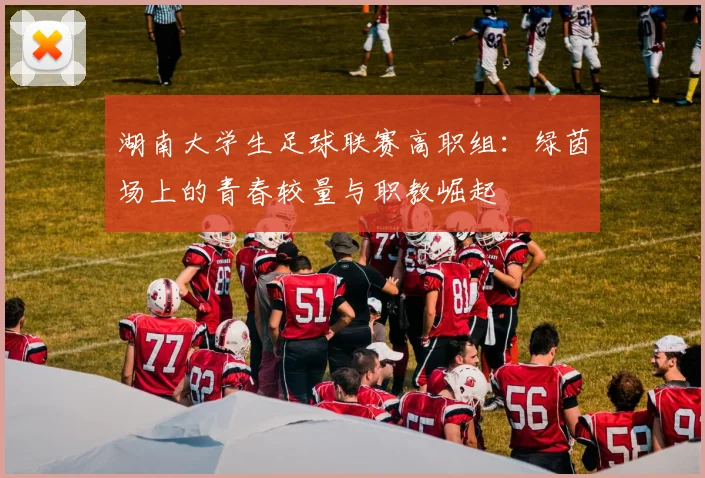 湖南大学生足球联赛高职组：绿茵场上的青春较量与职教崛起
